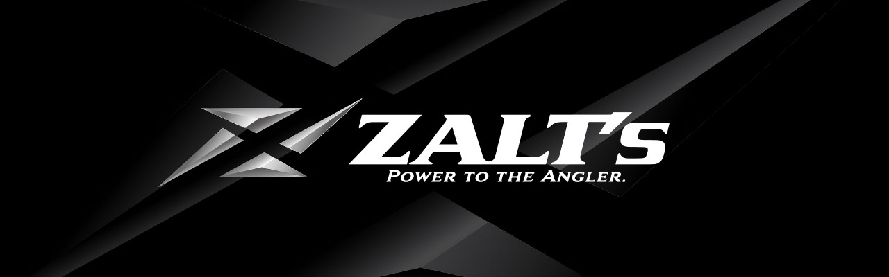 ���� ����